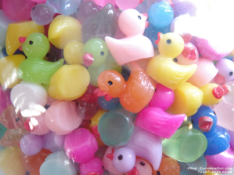 72347CrLeUsm - Wedding Shower for Andy - Megan